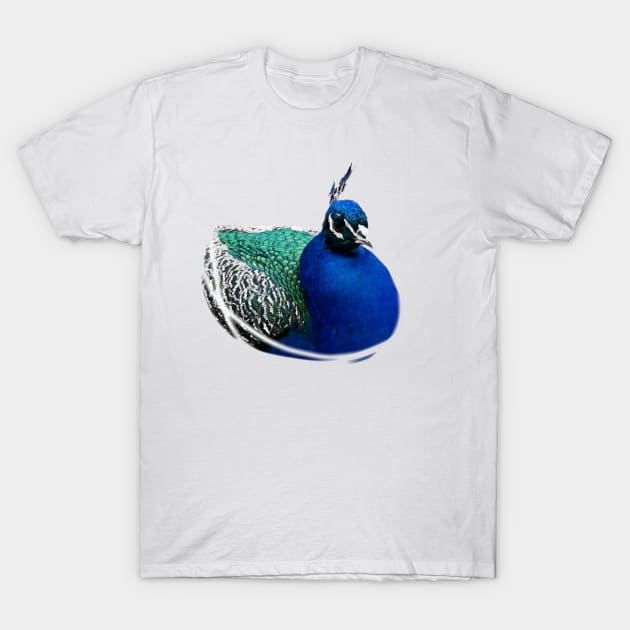 Peacock T-Shirt by CreativeWorld96